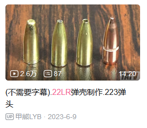 .22LR弹头改被甲