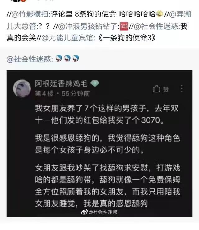 不要当舔狗，会不幸