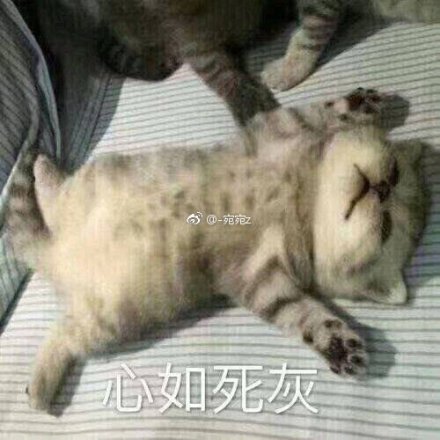 累了，毁灭吧，赶紧的