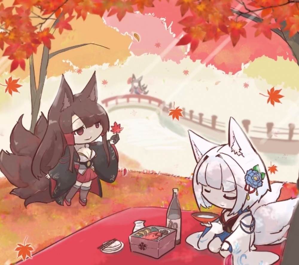 狐狸窝