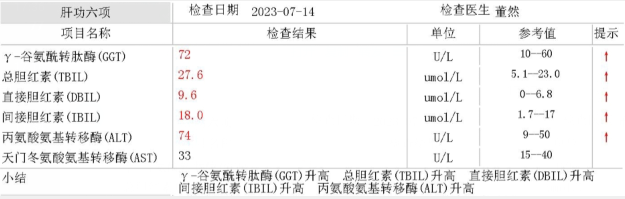 肝功六项红五项