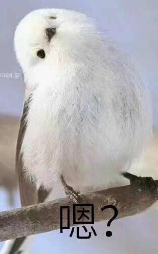 咕咕咕