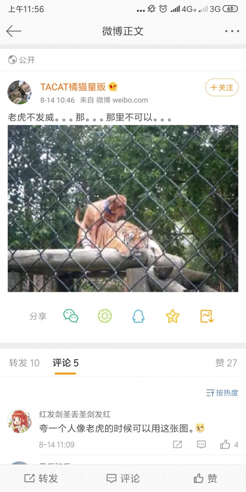 开车