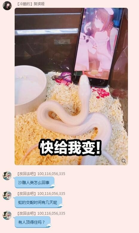 变身!