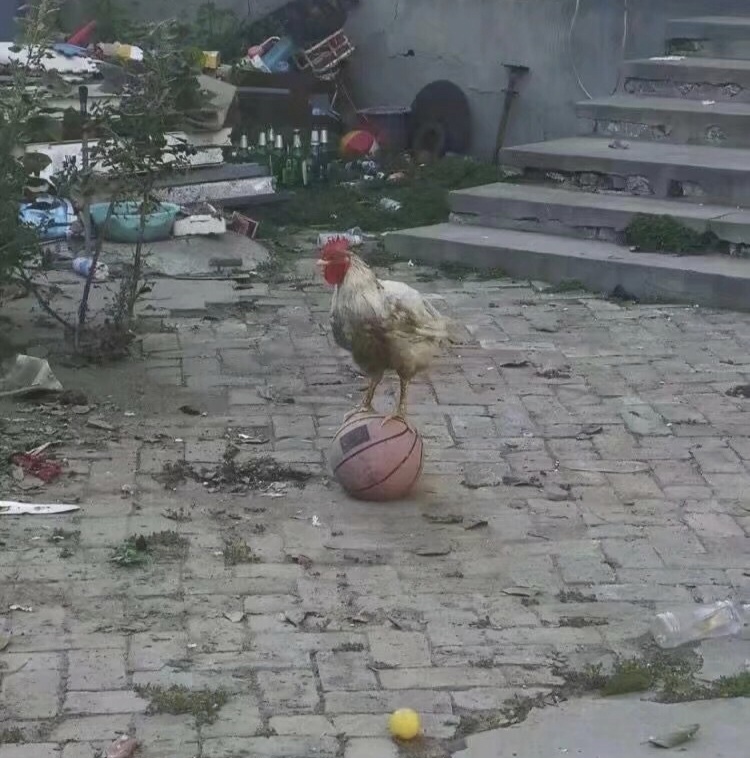 要素察觉