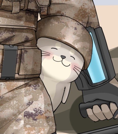 精锐装步一般獭