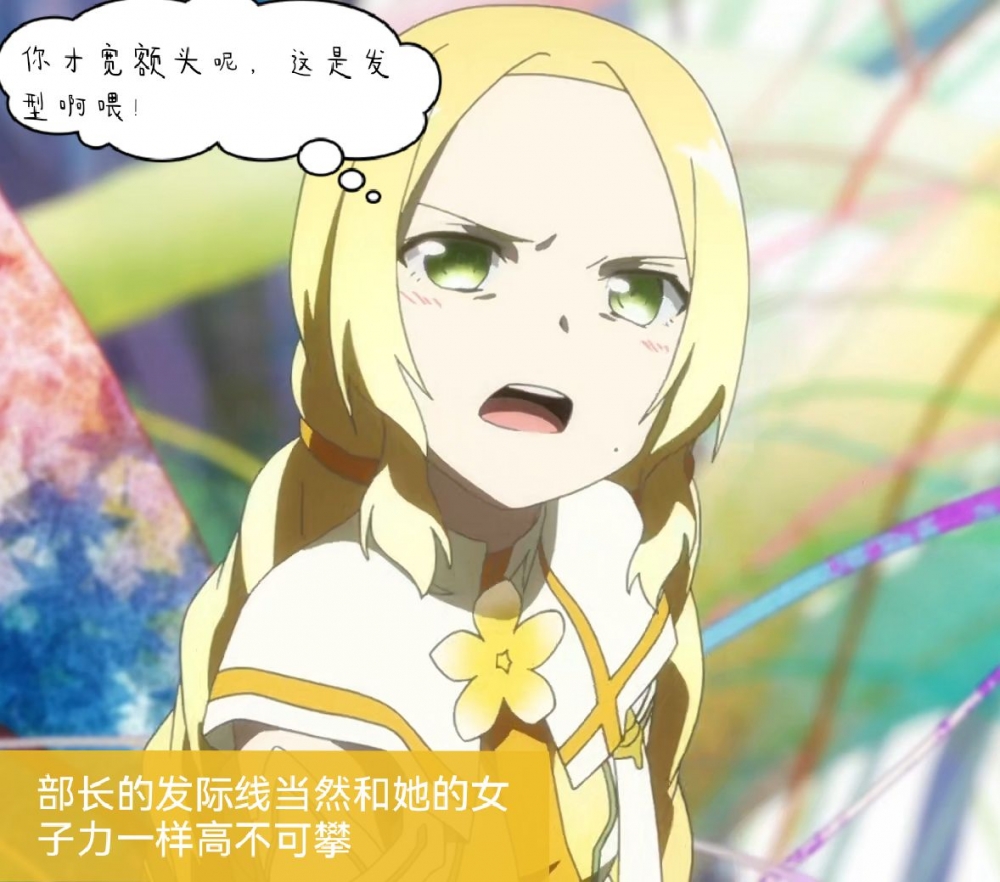 宽额头部长