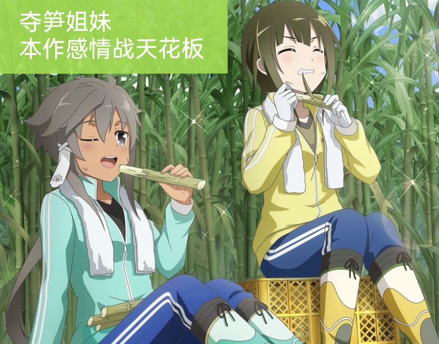 党争天花板