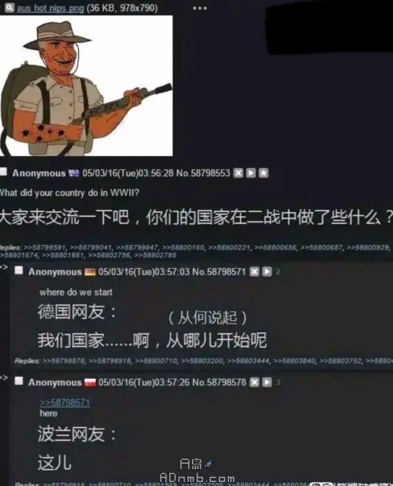 毫无波兰