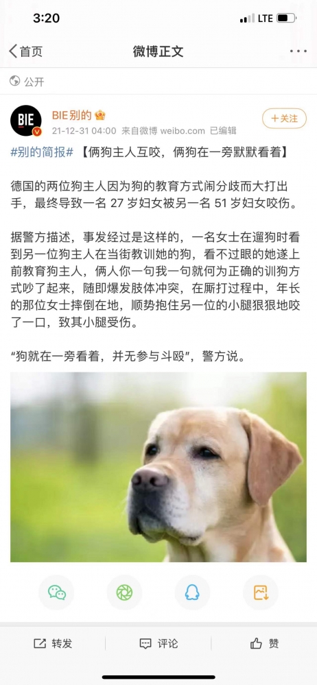 狗：文明观猴