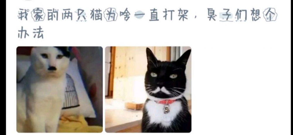 没办法, 必打无疑