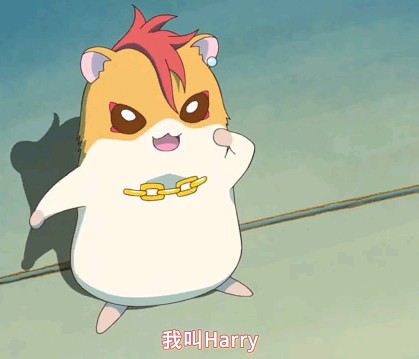 哈利哈姆·哈利