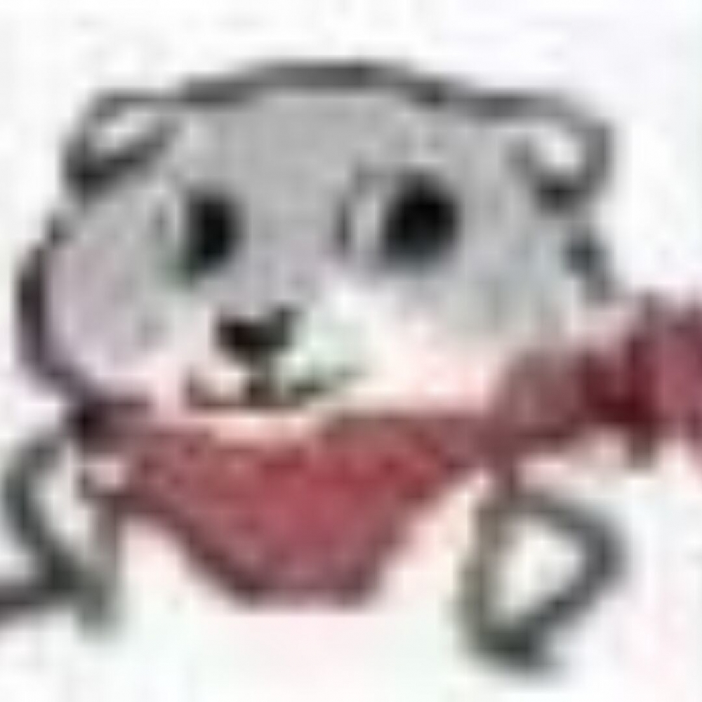 元老冷情报描述图