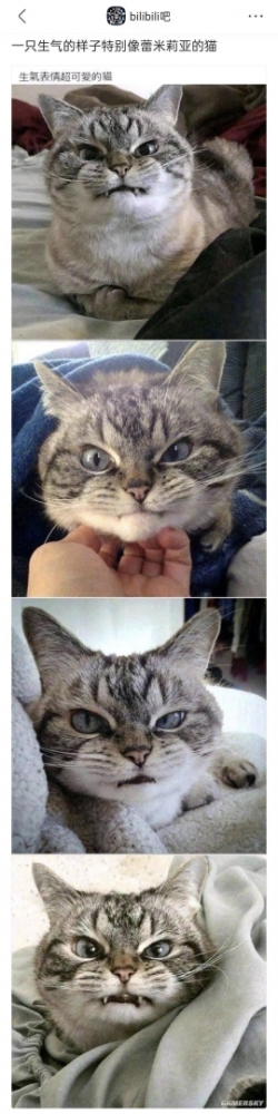 咪咪