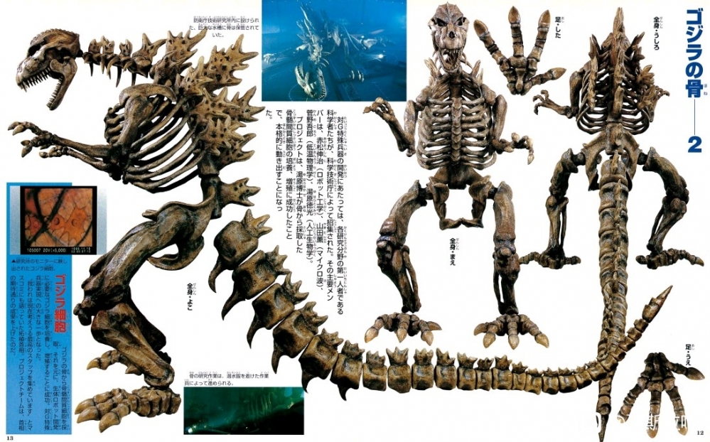 哥斯拉骨骼2