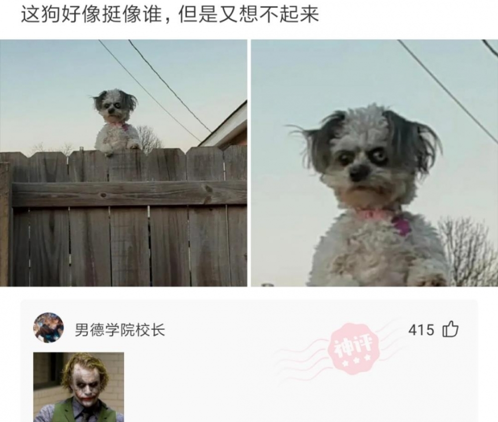 沙雕图