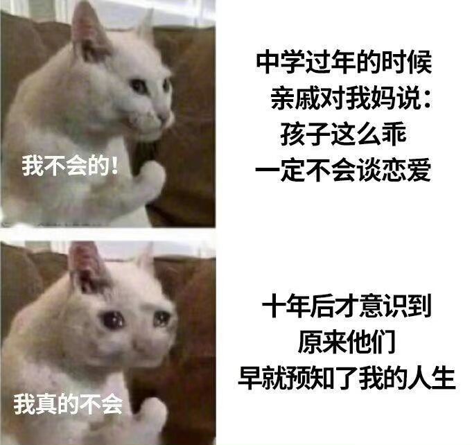 沙雕图