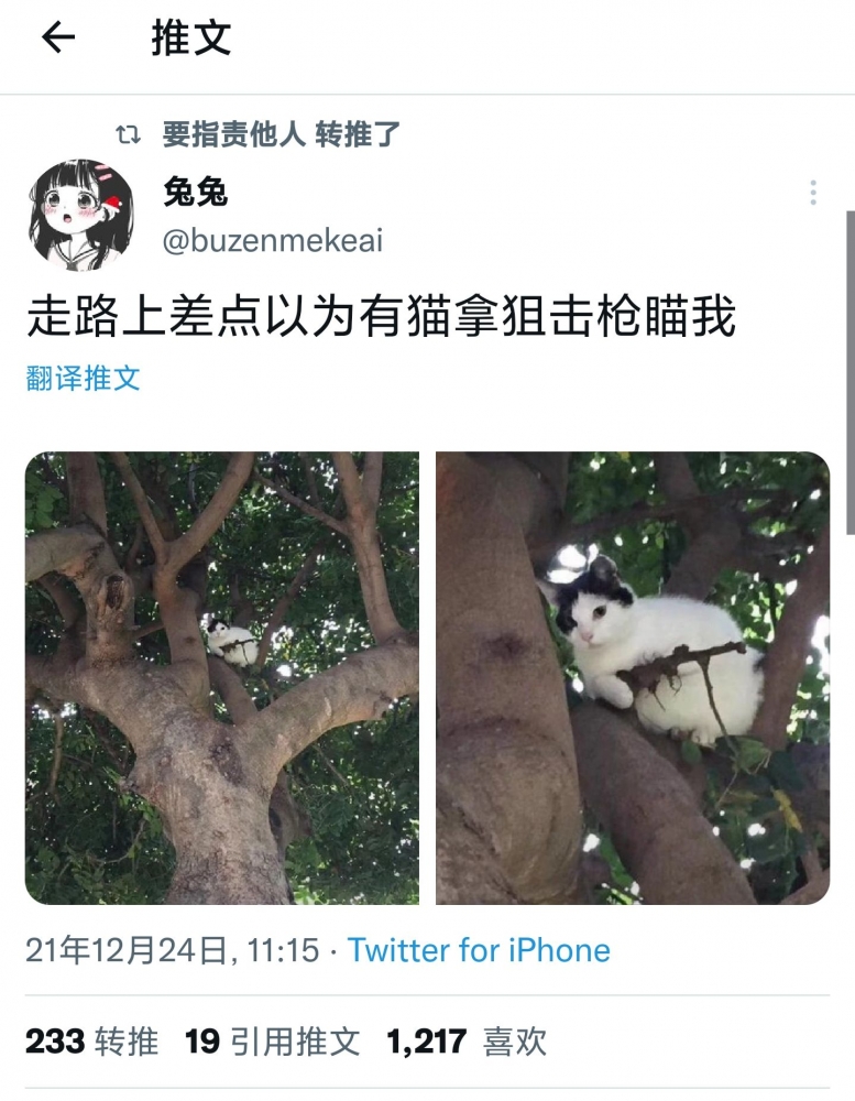 沙雕图