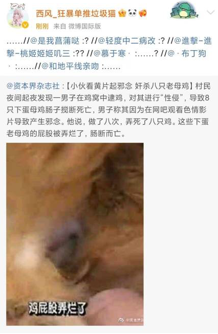 沙雕图