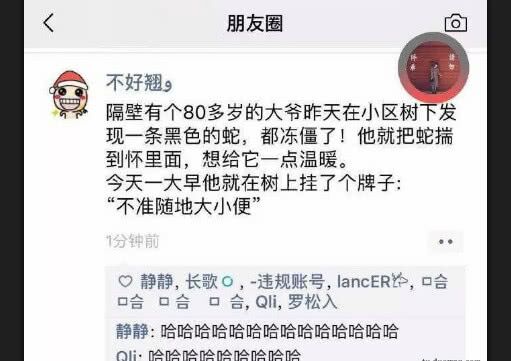 沙雕图
