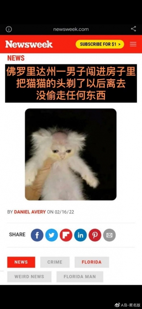沙雕图