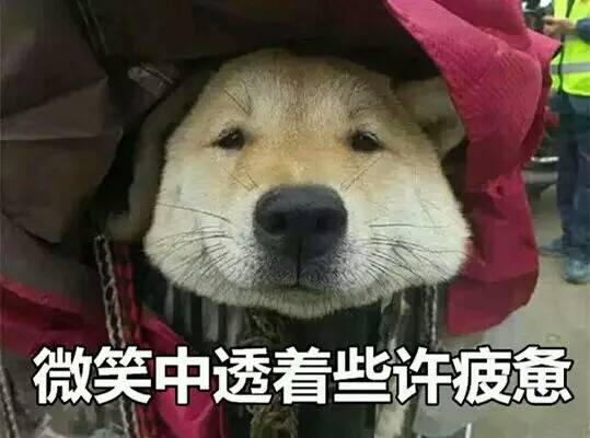 微笑中透露着些许疲惫