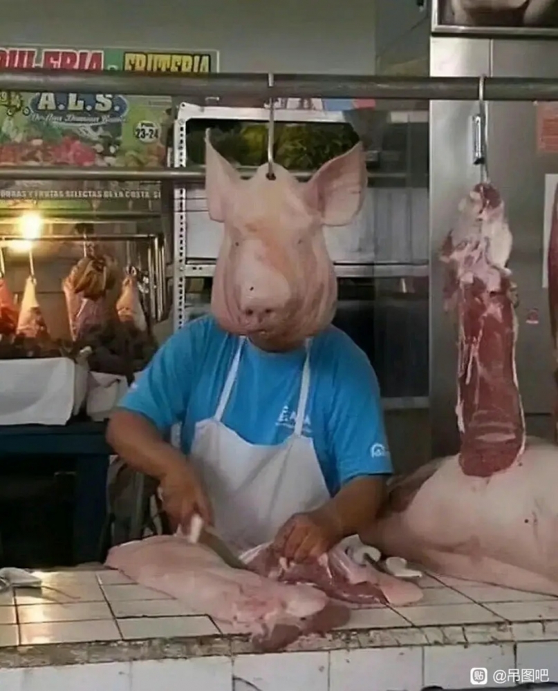我草，八戒