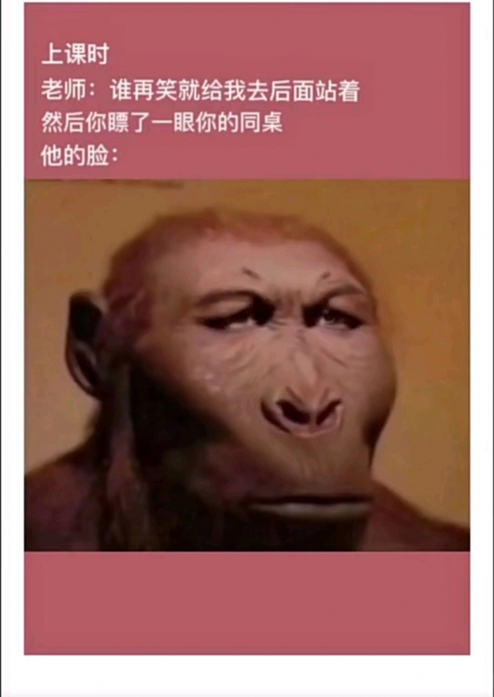 🌿，笑死