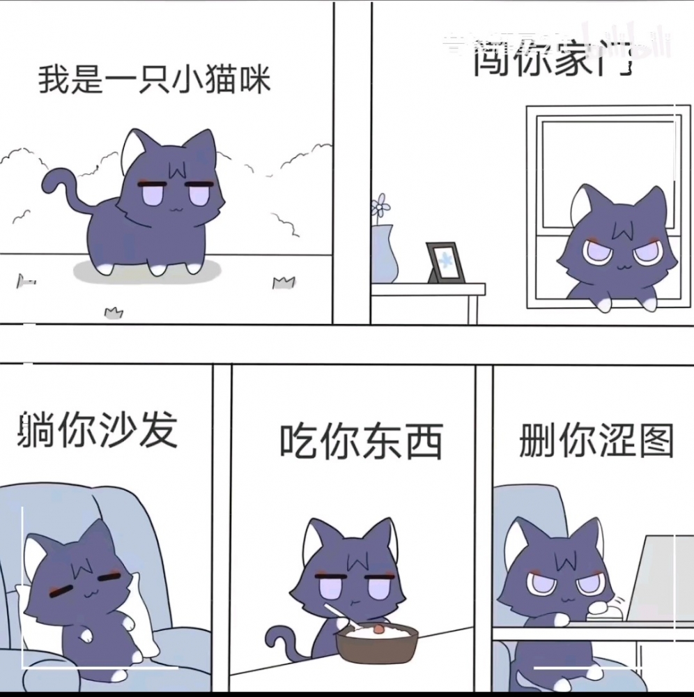 散猫猫