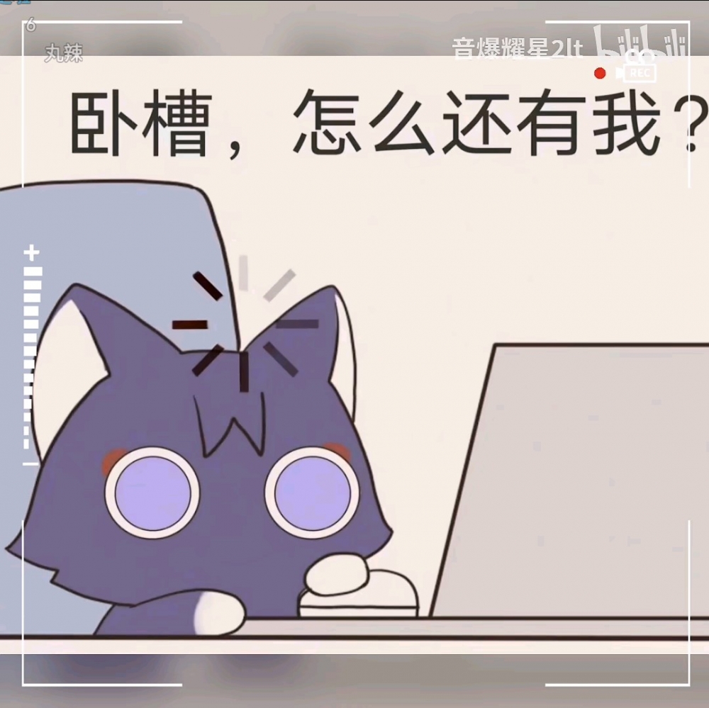 散猫猫
