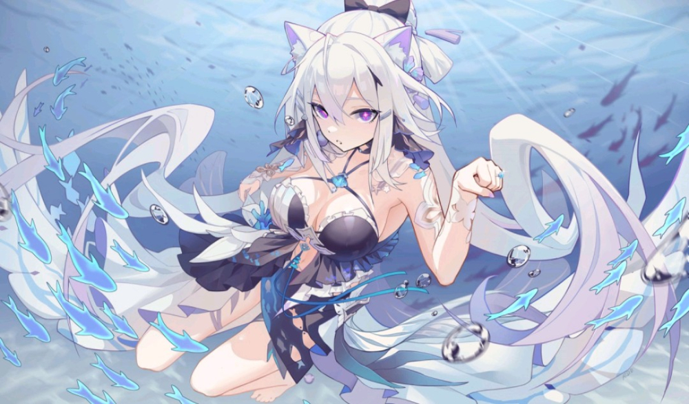 叱咤月海鱼鱼猫