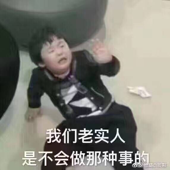 我，萌新，书客老实王