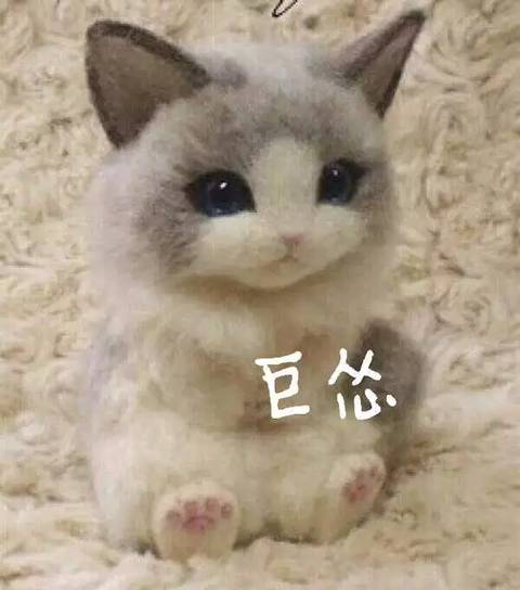 巨怂~