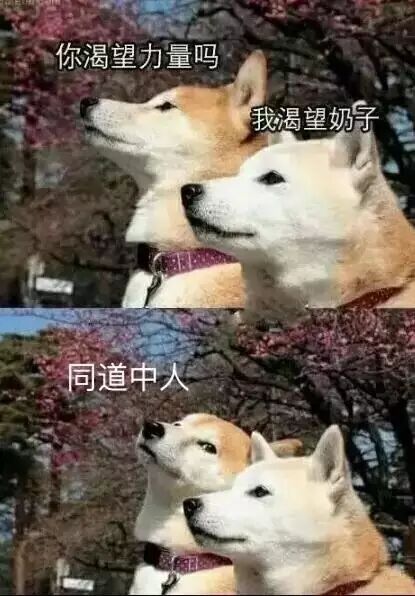 你！渴望力量么！