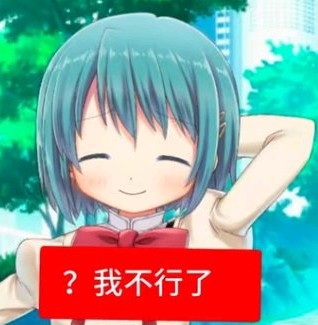 ʕ++•ᴥ•ʔ……