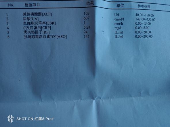 报告单