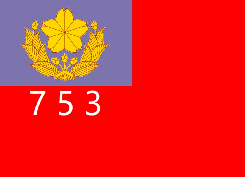 753队旗