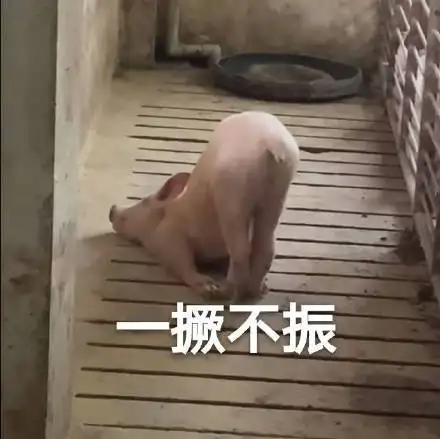 大概这样，意会