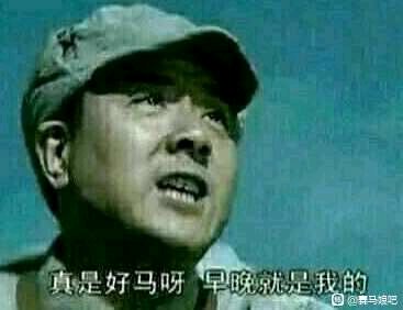 真是好马啊早晚是我的