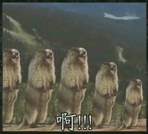 可畏此时的心情