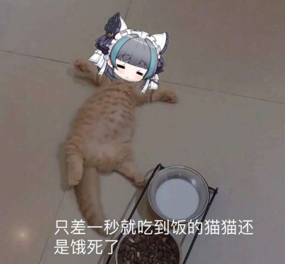 咕咕咕
