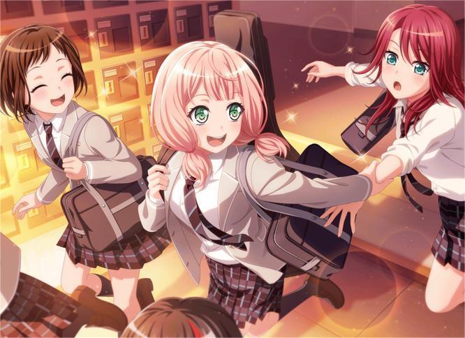 鸫、绯玛丽、巴