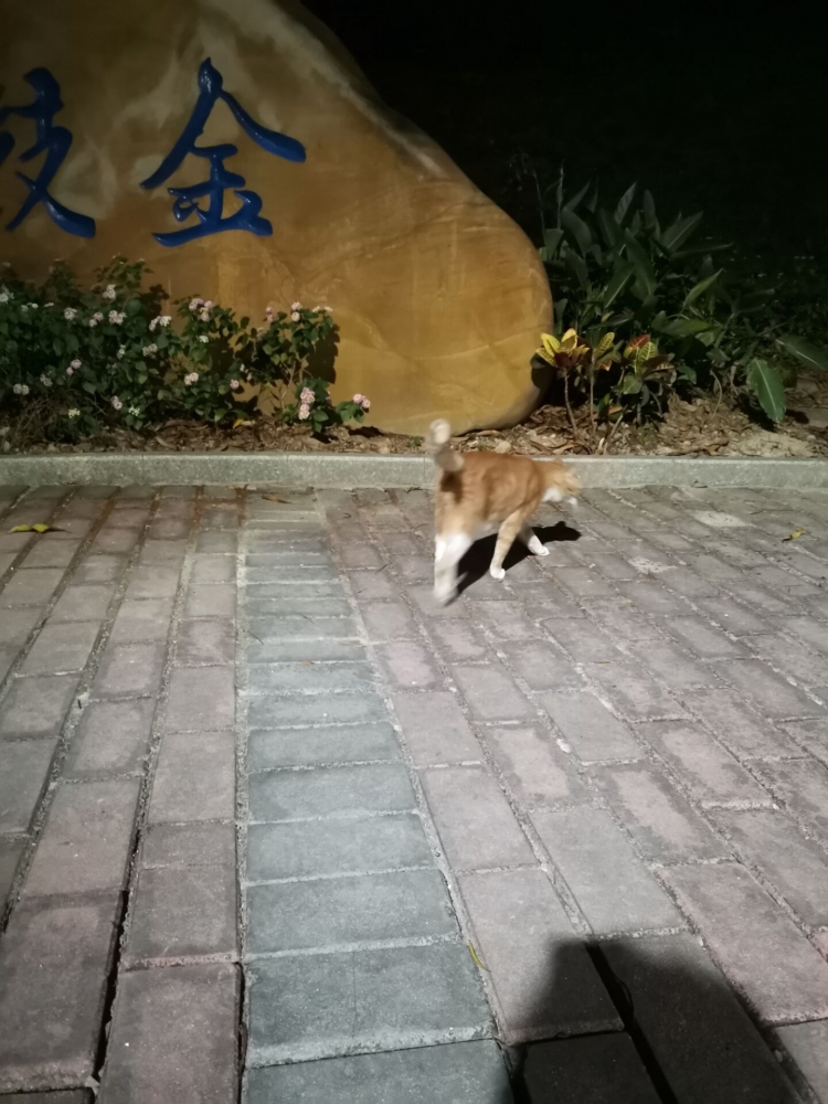 学长!!!