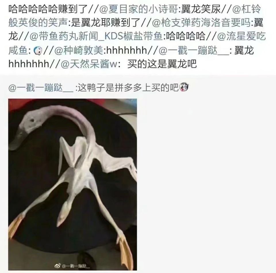 翼龙2333