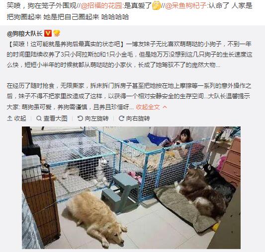 hhh太惨了