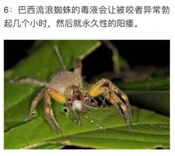 我的天…