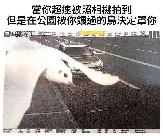 天命之子
