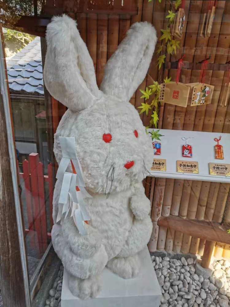 因 幡 的 白 兔