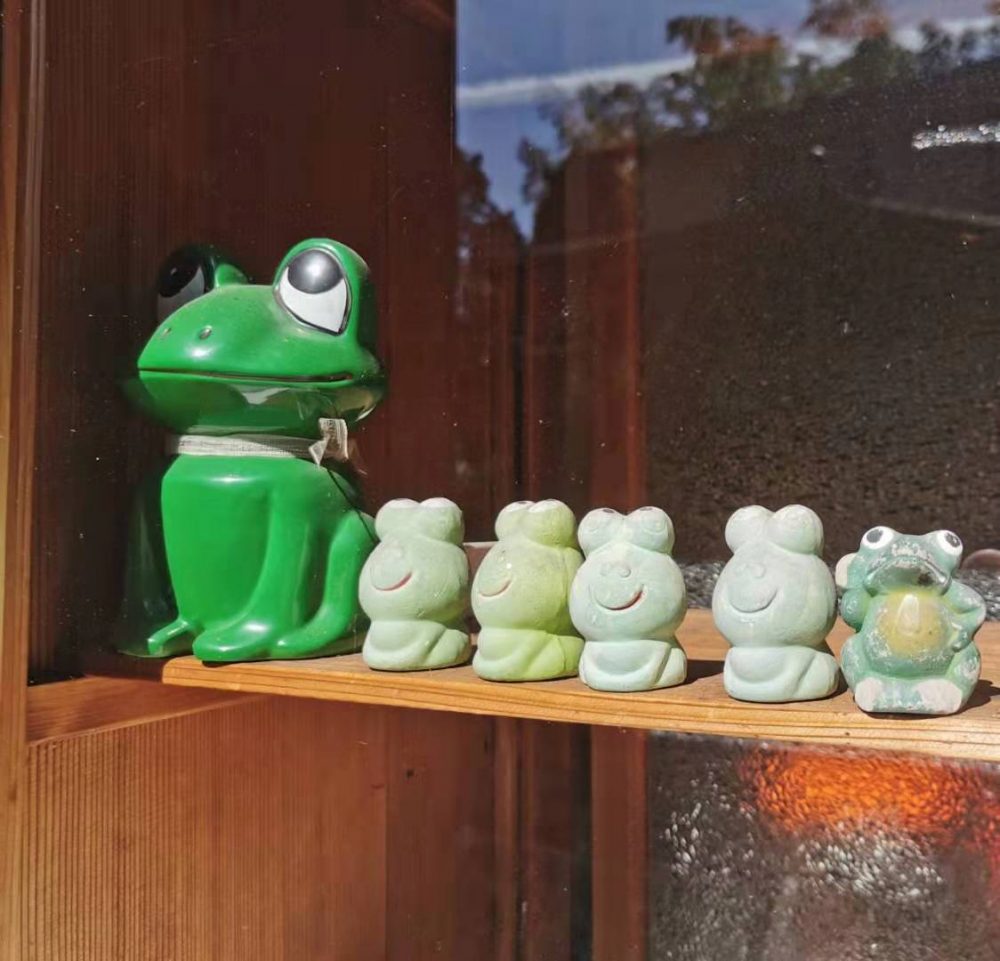 青蛙
