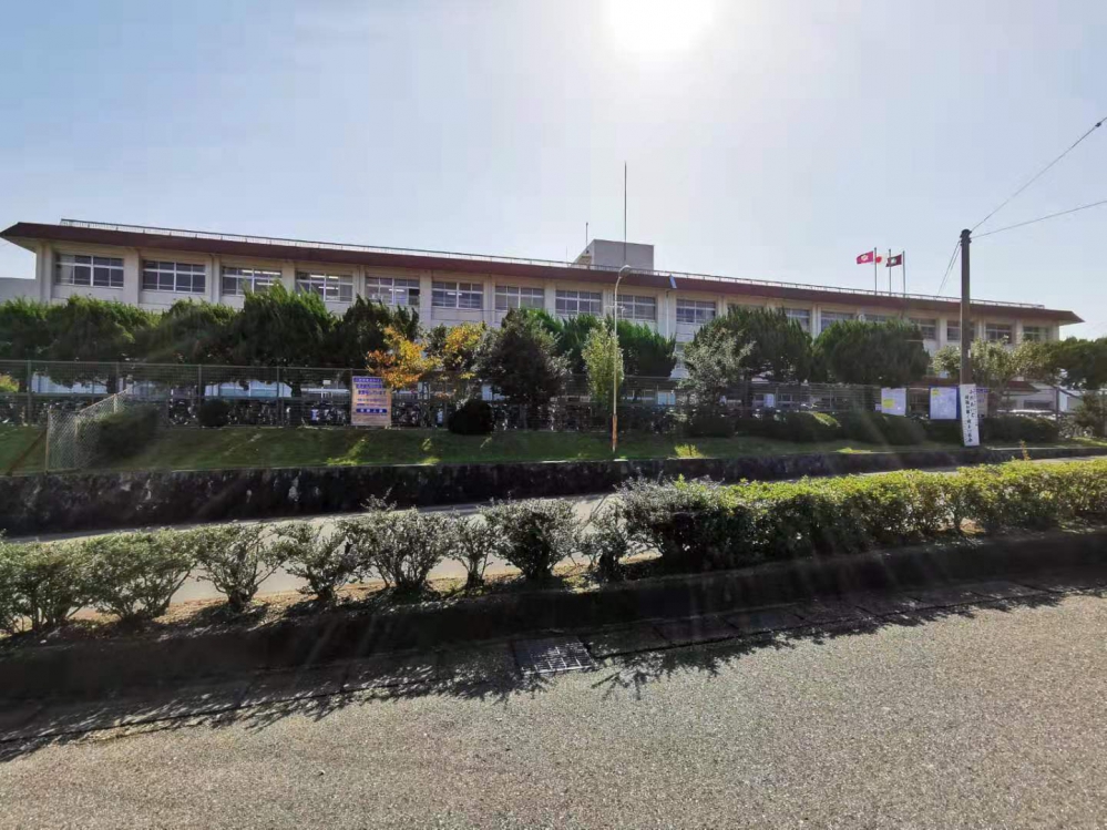 高校
